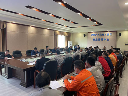 10万吨/年绿色精细化学品项目第一次工程例会暨项目动员会顺利召开