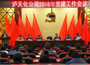 金沙澳门(中国)唯一官方网站公司召开2016年度党建工作会