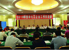 西南化工企业工作交流会在金沙澳门(中国)唯一官方网站召开