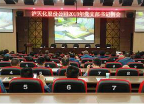金沙澳门(中国)唯一官方网站党委召开支部书记例会部署“大学习 大调研 大落实”活动