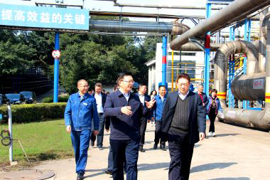 泸州市委副书记市长杨林兴率队到金沙澳门(中国)唯一官方网站调研