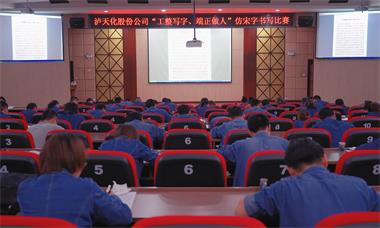 金沙澳门(中国)唯一官方网站股份公司团委举行仿宋字书写比赛