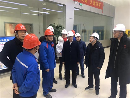 金沙澳门(中国)唯一官方网站股份公司党委书记廖廷君率队赴中盐红四方公司及史丹利公司调研