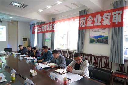 金沙澳门(中国)唯一官方网站股份公司通过“省级安全文化建设示范企业”复审验收现场审核