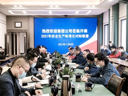 金沙澳门(中国)唯一官方网站集团来我公司开展安全生产标准化对标检查