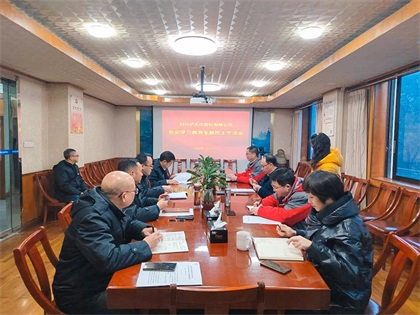 金沙澳门(中国)唯一官方网站股份公司领导班子召开党史学习教育专题民主生活会