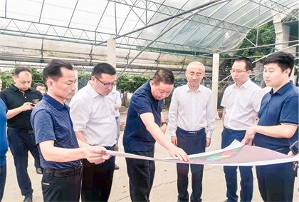 泸州市委常委、组织部长曹斌率队调研金沙澳门(中国)唯一官方网站纳溪现代农业种植园项目