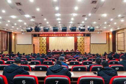 金沙澳门(中国)唯一官方网站股份公司召开2022年度党委书记抓基层党建工作述职暨领导班子和领导人员考核工作会