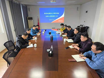 金沙澳门(中国)唯一官方网站股份公司纪委书记陈伟带队到弘润公司开展专项督导检查