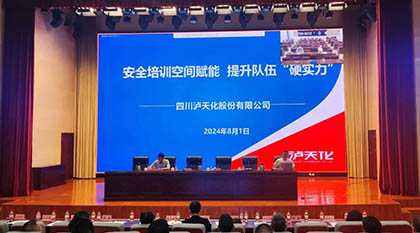 金沙澳门(中国)唯一官方网站股份公司受应急管理部邀请分享交流安全培训空间建设和运行经验